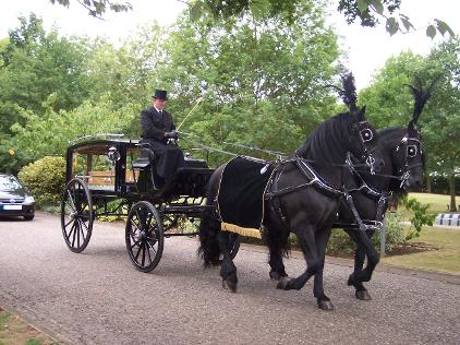 Traditional Horse Drawn Hearse